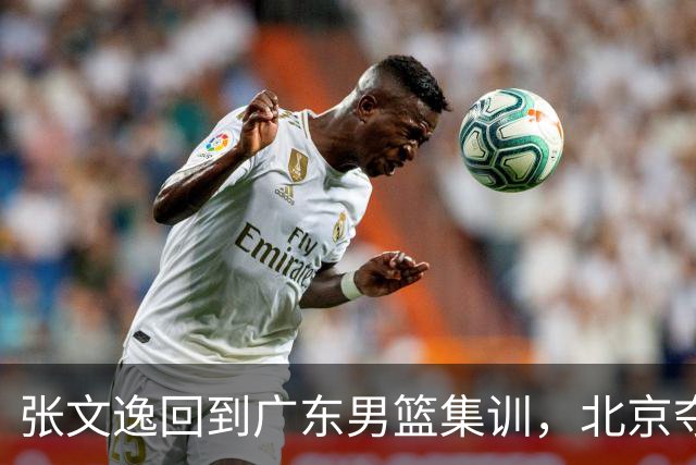 张文逸回到广东男篮集训，北京夺冠功勋确定退役，上海欲续约弗格